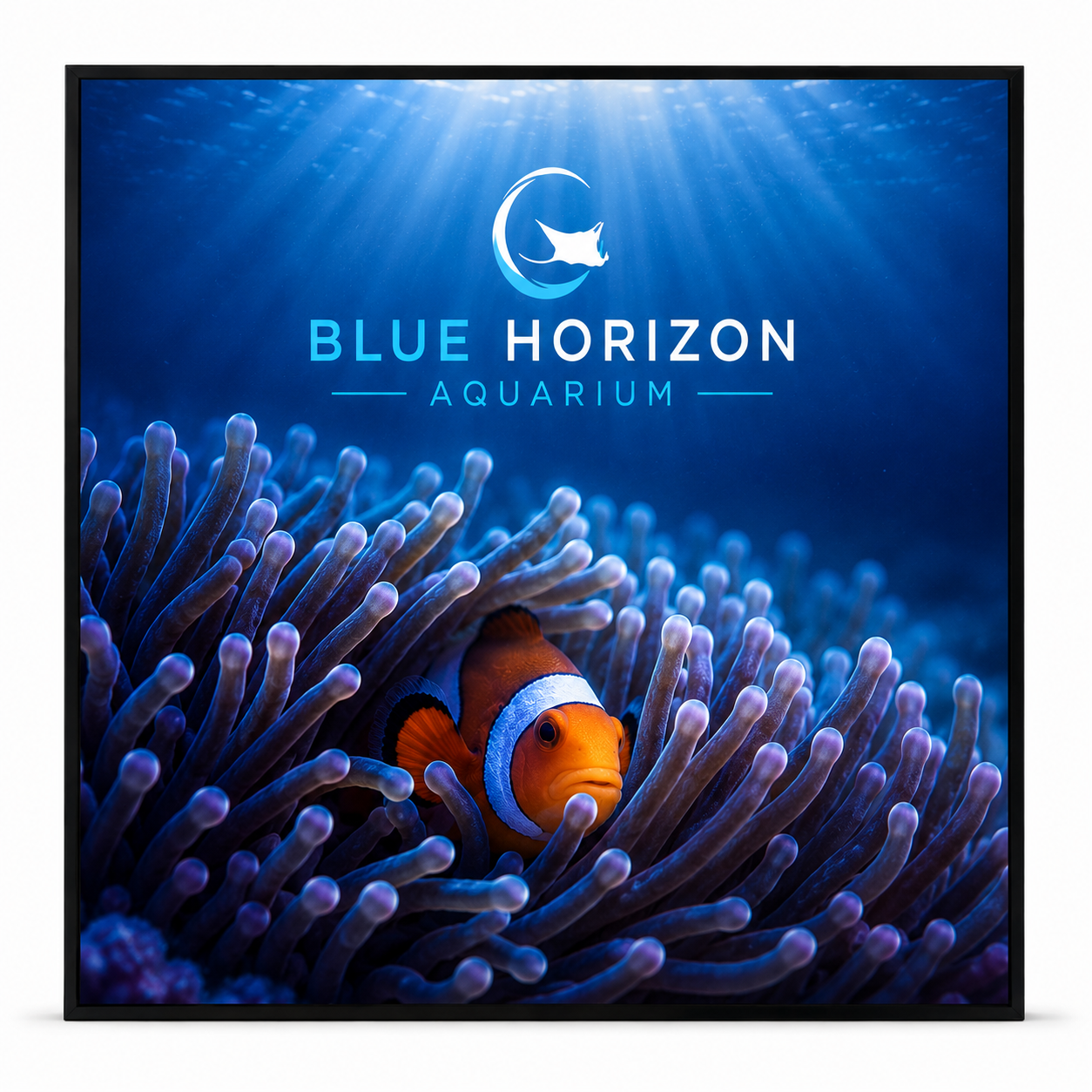 Shop custom SEG Black Back Graphics in preset sizes from 18" x 18" to 60" x 60", with silver, black, or no frame for retail, trade shows, events, and branded interiors.