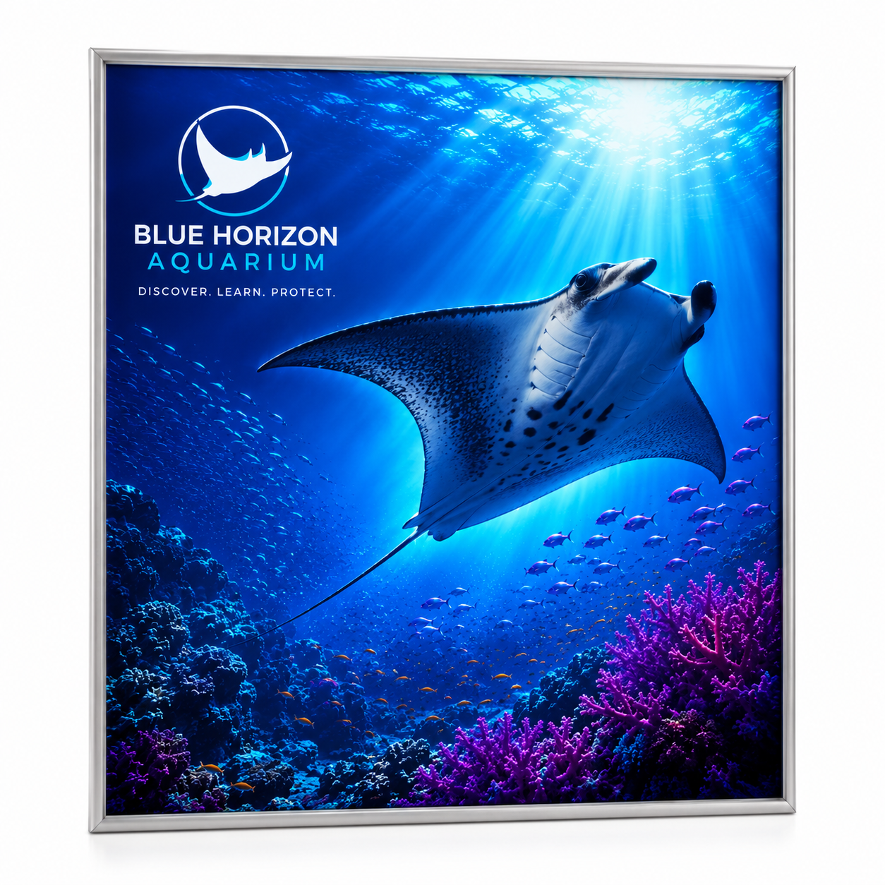Shop custom SEG backlit graphics in preset sizes from 18" x 18" to 60" x 60", with silver, black, or no frame for retail, trade shows, events, and LED lightbox displays.